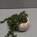 Succulents Plants Artificial, Small String of Pearls with Ceramic Pot Artificial Faux String of Pearls Suitable for Home Garden Decor, Wall Decoration