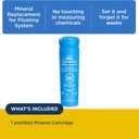 FROG Serene Replacement Mineral Cartridges for use with Hot Tub FROG Serene Floating Sanitizing System - Prefilled for Quick & Easy Hot Tub Maintenance - 1 Pack