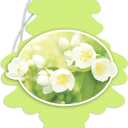 Little Trees CAR FRESHNER U3S-32033 Jasmine Air Freshener (3 Pack)