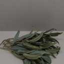 Lings Moment Artificial Plants Salix Leaves Branches,4Pcs 17.5"Tall Sage Green Fake Willow Greenery Filler Decor w/Stems, Lifelike Texture Plant Decor for Wedding Bouquets/Table Centerpieces, Office