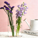 16 Pcs Glass Cylinder Vase, 7.67" H2.36" W Clear Vases for Centerpieces, Flower Vases for Bouquet, Hurricane Vase Ideal for Wedding Table Centerpieces, Floating Candles & Bouquet Arrangements