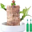 Brazilian Lucky Wood Plant,Fortune Brazil Wood Potted Plant with Mushroom House Figurine,Mini Brazil Decoration, Desk Decor for Home & Office Desktop Planter
