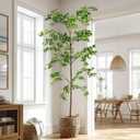 Erimda Faux Black Olive Tree 8ft, Faux Plants Indoor Large Tall Tree Artificial Shady Lady Tree with Natural Wood Trunk & Realistic Leaves, Fake Olive Plant for Home Office Indoor Decor