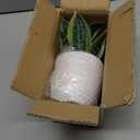 Hollyone Artificial Snake Plants 9" Faux Agave Succulent Plant Potted in White Pot Fake Sansevieria Aloe Tropical Plant for Desk Modern Office Home Bathroom Indoor Outdoor Decor (Green #3)