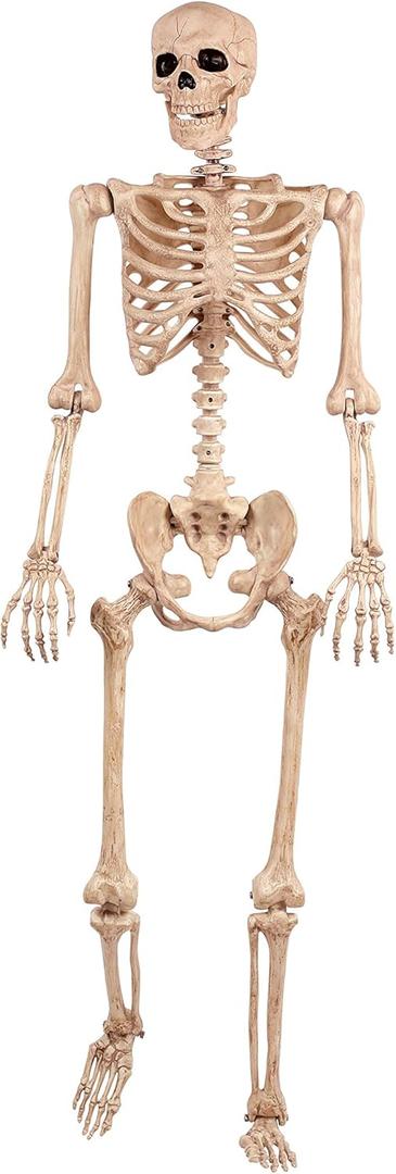 Crazy Bonez Original Pose-N-Stay Halloween Skeleton, 5 FT  Life-Size, Realistic, Fully Poseable Indoor & Outdoor Decoration, Durable Plastic Spooky Prop for Yard, Porch, Haunted House