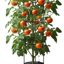 Tomato Planter with Trelli 63 in. Plastic Raised Garden Bed Tomato Planter Box w/ Wheels Tomato Support Cages for Garden