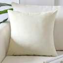 Artscope Luxury Velvet Pillow Covers Super Soft Decorative Square Throw Pillow Covers Case Cushion Covers for Sofa Couch Bedroom Car Decor 18x18 Inch Cream White