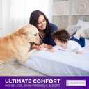 BLISSFORD Plastic Mattress Protector - Heavy Duty, Fitted Vinyl - Cot Cover for Bedwetting Adult, Child or Pet, 100% Waterproof Fitted Sheet Style Plastic Mattress Cover - 30" x 75"