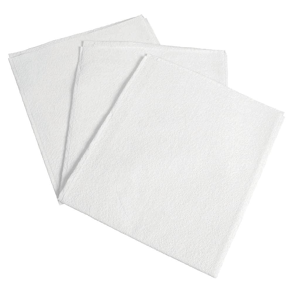 BodyMed 2-Ply Disposable Drape Sheets for Non-Surgical Draping, 60 in. x 40 in. (Case of 100) - Professional Grade Paper for Clinics, Offices & Spas (White)