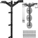 Wall Mounted Weight Plate Rack, 6 Pegs & 4 Barbell Storage Rack, 1190 LBS Capacity Weight Plate Holder, Wall Mounted Bumper Plate Storage for Home Garage Gym, Fit 2" Olympic, Rubber Protection Pads