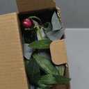 Lighted Olive Branches for Vases, 32 Inch Olive Branches with 32 LED Lights, Battery Powered Artificial Branch, Prelit Tree Branch for Home Wedding Indoor Outdoor Spring Decorations, Timer