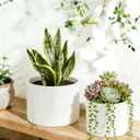 Ceramic Plant Pots, 8.1 + 6 Inch Planters for Indoor Plants, Modern Flower Pots for Plants with Drainage, Medium Cylinder Flower Pots for Indoor Plants, House Plants, Matte White