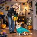 Huhumy Dog Doctor Costume Cat Surgeon Nurse Costumes Pet Doctor Clothes with Stethoscope Puppy Cosplay Party Apparel Outfits for Dogs Cats Dress Up Holiday Uniform Cosplay Halloween(Green, M)