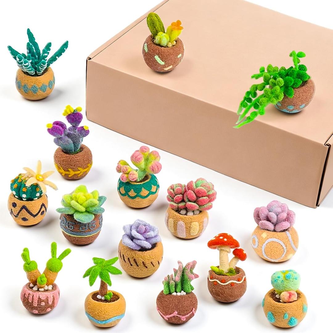 15 PCS Succulent Needle Felting Kit for Beginners Adult Feltings Kits for Beginners Adult, Succulent Needles Felting Multiple Styles Needle Felt with Wool Roving,Pad and Instructions for DIY Craft