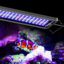 Pawfly 36W Saltwater Aquarium Light for 36" to 45" Fish Tanks Dimmable LED Reef Light for Coral Extendable Marine Fish Tank Light with Full Spectrum D/N Mode Timer Auto On/Off Adjustable Brightness