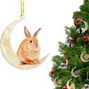 Christmas Tree Decorations, Acrylic Christmas Tree Ornaments, Double-Printed Animal Hanging for Christmas Tree, Home Decor, Children's Gifts (Rabbit)