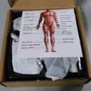 AYURA Massage Deep Tissue, Muscle Massager for Pain Relief, Percussion Massage with 30 Speeds & 6 Heads, Portable Handheld Back Massage for Athlets Men Women (Black)