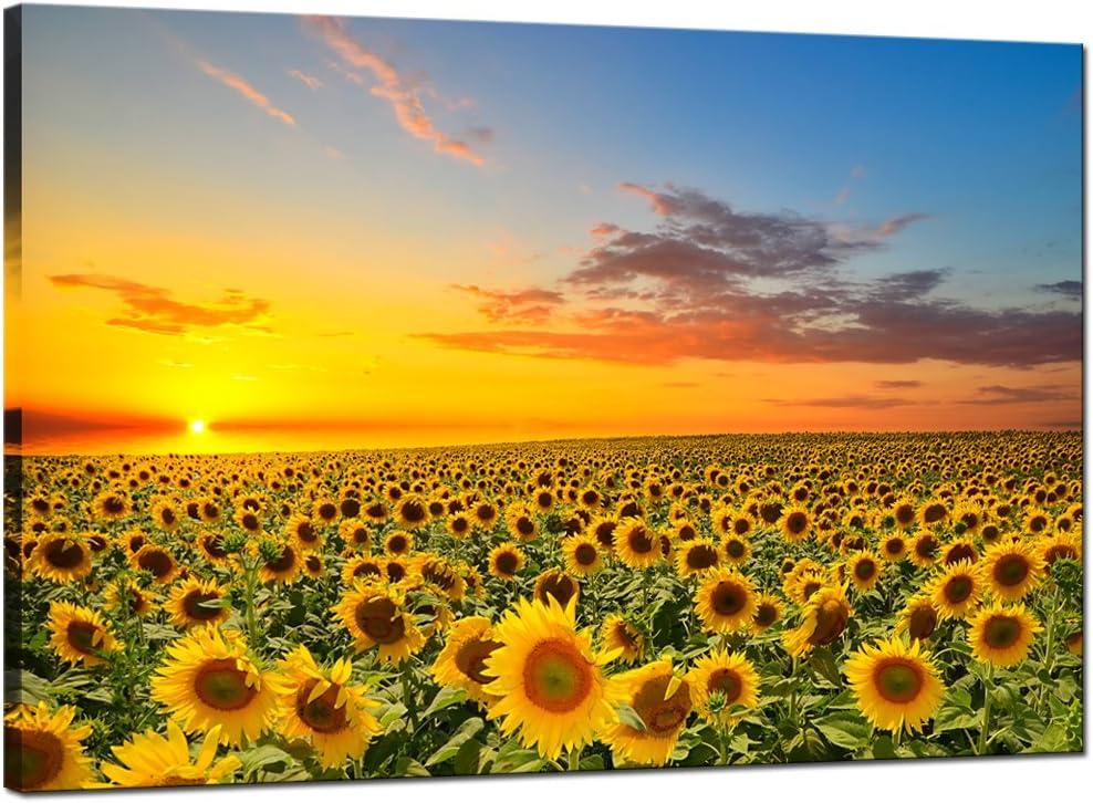 sechars Sunflower Canvas Wall Art Sunrise in Field Landscape Picture Painting Print Modern Living Room Decor,Framed Ready to Hang, 36"L x 24"W