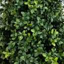 Nearly Natural 3ft UV Resistant Artificial Boxwood Plants, Set of 2, with Integrated Ground Stakes for Indoor Outdoor and Garden Decor