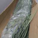 2-Pack Fake Lavender Faux Plastic Plants Synthetic Pampas Grass Indoor Outdoor Realistic Floor Plants Lifelike Artificial Tall Grass Plant for Home Office Wedding Patio Decor Housewarming Gift, Artificial Feather Grass,3.2 FT