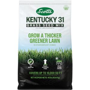 Scotts Kentucky 31 Grass Seed Mix, 40 lbs. | Premium Lawn Grass Seed, Covers Up To 10,000 sq. ft.