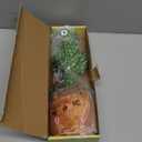 Talking Cactus Toy for Babies 6+ Months & Toddlers - Dancing Singing Repeating Cactus Toy with 10 Songs & Lights, Interactive Plush Gift for Kids Age 1 2 3 4 5 6, Easter Gifts for Kids