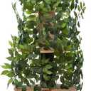 On2 Pets Cat Tree with Leaves Made in USA, Cat House & Cat Activity Tree, Multi-Level Cat Condo for Indoor Cats