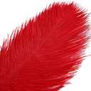 THARAHT Red Ostrich Feathers 12pcs Large Natural Bulk 20-22Inch 50cm-55cm for Wedding Party Centerpieces Halloween and Home Decoration Feathers