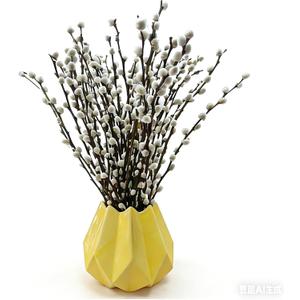 60 Stems 100% Natural 17.5 Inches Real Pussy Willow Flowers Pussy Willow Branches for Vases White Pussywillows for China Spring Festival Easter Wedding Home Party Hotel Fireplace Decor