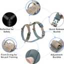 Plutus Pet No Pull Dog Harness, Adjustable Nylon Harness with Soft Padding, Reflective and Heavy Duty Dog Harness for Dogs(Beige, Large)