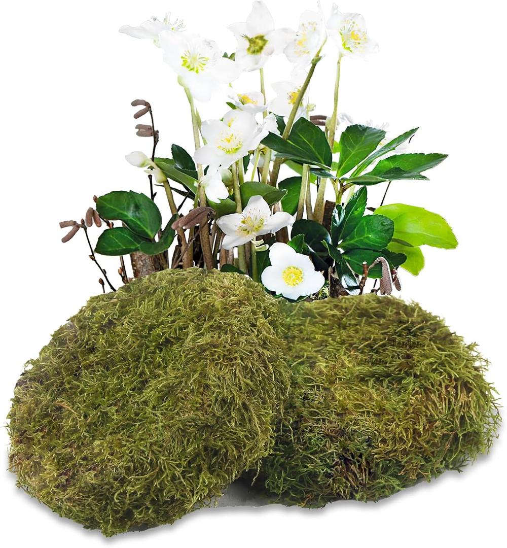 2 Pcs Round Floral Foam Blocks Green Moss Balls for Bowls Bulk Wet Dry Floral Plant Foam Block 5.5" Natural Preserved Pillow Moss for Craft Florist Easter Table Flower Arrangement DIY Decor