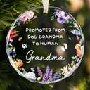 2 x New Grandma Ornament - Baby Announcement Gift Promoted from Dog to Human Grandma Glass Ornament - Grandmother Gifts for Christmas - Grandmother Gifts from Grandkids