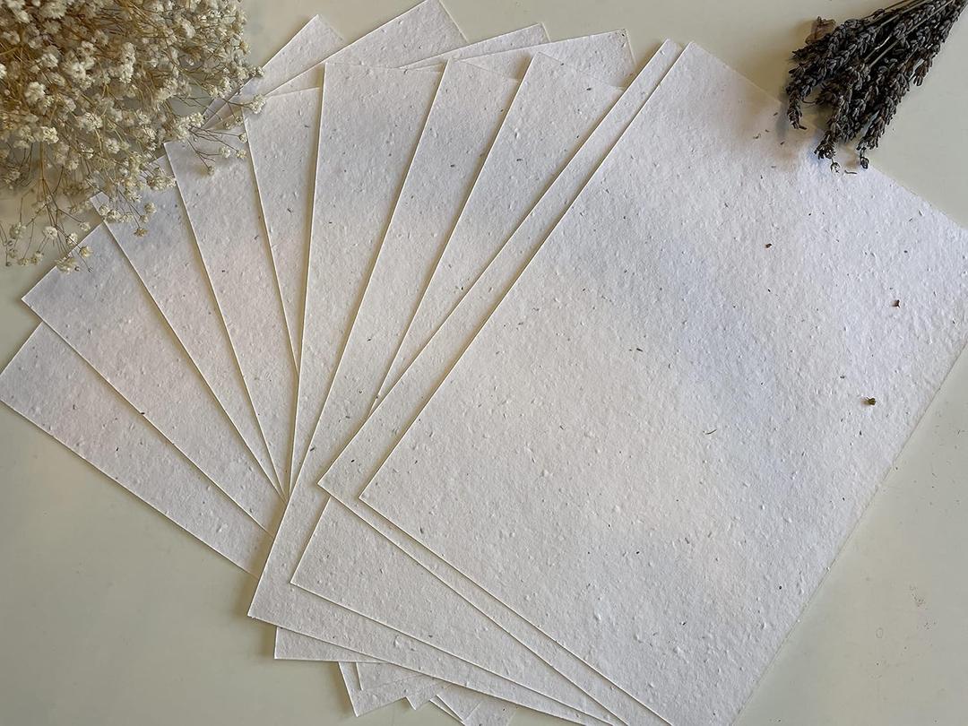 25 x A5 Plantable Seed Paper/Card - Print at Home Craft Paper with Wildflower Seed Mix