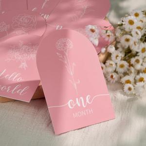 Pink Baby Monthly Milestone - Arch Double Printed Acrylic Milestone Cards for Baby Announcement of Newborn Boy & Girl, Hello World Sign Baby First Year Photo Props