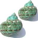 SINKOO Large Conch Shell 2PCS 4"-4.5" Natural Seashells for Hermit Crab Fish Tank Wedding Decor Beach Theme Party, Home Decorations,DIY Crafts
