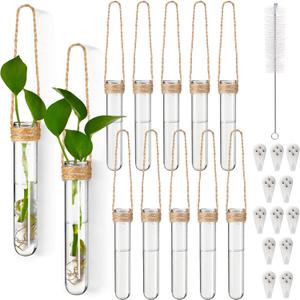 Baderke 12 Pack Plastic Hanging Propagation Tubes Propagation Station Vases Wall Hanging Plant Vase for Planters Hydroponic Office Garden Flowers Decor Lover Gift (Natural Color) (Transparent)