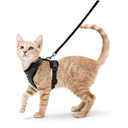 rabbitgoo Cat Harness and Leash for Walking, Escape Proof Soft Adjustable Vest Harnesses for Cats, Easy Control Breathable Reflective Strips Jacket, Black, XS