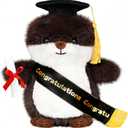 Graduation Decorations 2026 Otter Plush9.45 Inch Class of 2026 Graduation Plush Otter Stuffed Animal,Cute Graduation Gifts for Kindergarten, High School, and College Graduates (Otter)