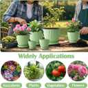 RooTrimmer 7.5/6.5/5.5/4.9/4.2/3.5 Inch Plant Pots with Saucers & Drain Holes - Indoor/Outdoor Flower Pots for Succulents, Herbs, Cactus - Modern Lightweight Durable Planter Set, Green