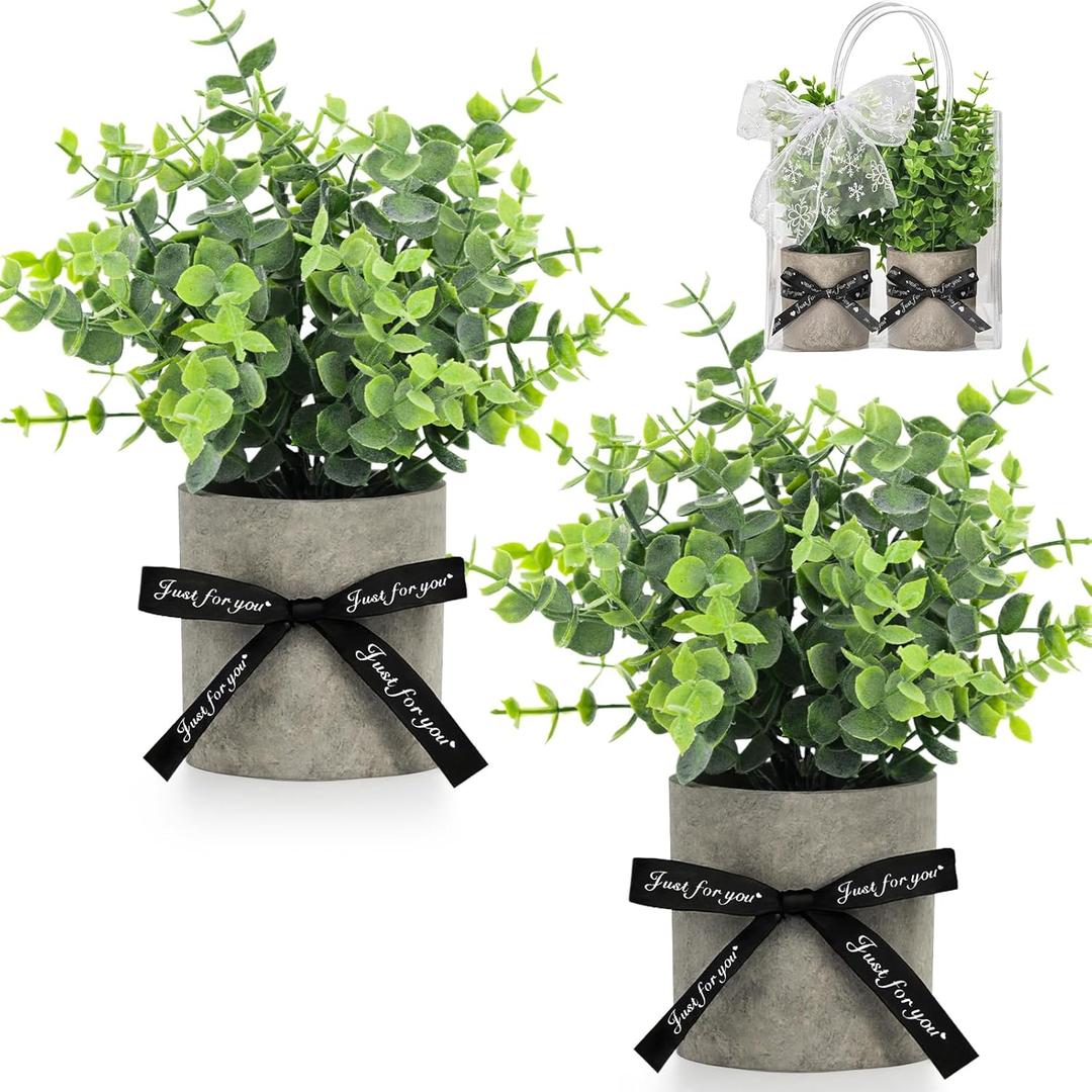 DomeStar 2 Pack Mini Artificial Potted Plants with Gift Bag & Ribbon - Gift Ready Faux Eucalyptus for Housewarming, Office Desk Decor - Cute Appreciation Gifts for Women, Coworkers, Friends (Green)