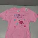 Flamingo Lover Birthday Girl Funny Birthday T-Shirt XS