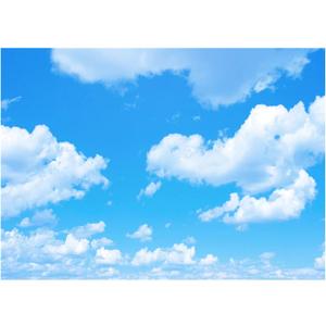 XLL 10x8FT Fabric Blue Sky White Clouds Theme Photography Backdrops Clear Sky Kids Birthday Party Banner Newborn Baby Shower Photo Background Wedding Party Decor Studio Props