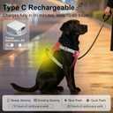 Taglory LED Dog Harness with AirTag Holder, No Pull Light Up Dog Vest for Night Walking, USB Rechargeable Pet Safety Harness with 2 Metal Clips, Adjustable Soft Vest for Small Dogs (Rose Pink, S) (Melon Red)