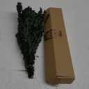 Real Eucalyptus Stems Greenery Decor 20PCS 17" Dried Willow Eucalyptus Plant Preserved Greenery Stems for Home Vase Filler Wedding Flowers Arrangement Spring Decorations