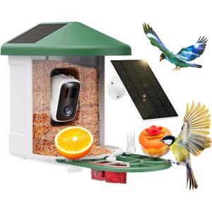 Bird Feeder with Camera with AI Identify Birds Species Solar Powered, Smart Bird House with Cam, 2K HD Video Live Stream, Instant Arrival Alerts - Green