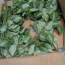 HyeFlora 5PCS Artificial Eucalyptus Leaves Stem Plants for Spring Decor, 32.7 inch Fake Leaves Greenery Branches Green Shrubs Silk Faux Foliage DIY Stems for Festival Home Kitchen Farmhouse(Green)