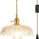 Glass Plug in Pendant Light,Vintage Copper Lamp Holder Hanging Lamp,Pendant Light for Kitchen Island, Bedroom, Dining Room, Living Room (9.65in)