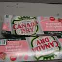 2 x Canada Dry Fruit Splash Strawberry Ginger Ale Zero Sugar Soda, 12 fl oz cans, 12 pack (EXP 02/04/26)