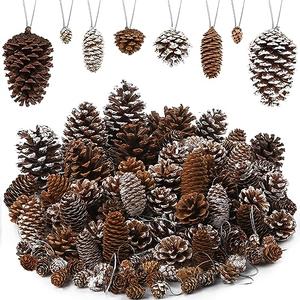 Fovths 66 Pieces Christmas Pine Cones Ornaments with String Natural Rustic Pine Cones Bulk Assorted Sizes Xmas Tree Hanging Pinecone Decoration for Christmas Tree Crafts DIY Gift Party