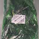 FYSUIMU Party Decoration Lime Green Fringe Garland 6.6 Ft Hanging Layored Scalloped Christmas Banner for Bachelorette Party Supplies Birthday Photo Booth Margarita Bach Decor Bridal Shower Backdrop